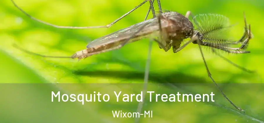 Mosquito Yard Treatment Wixom-MI