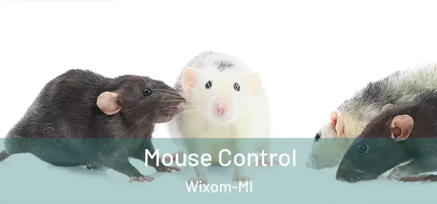  Mouse Control Wixom-MI