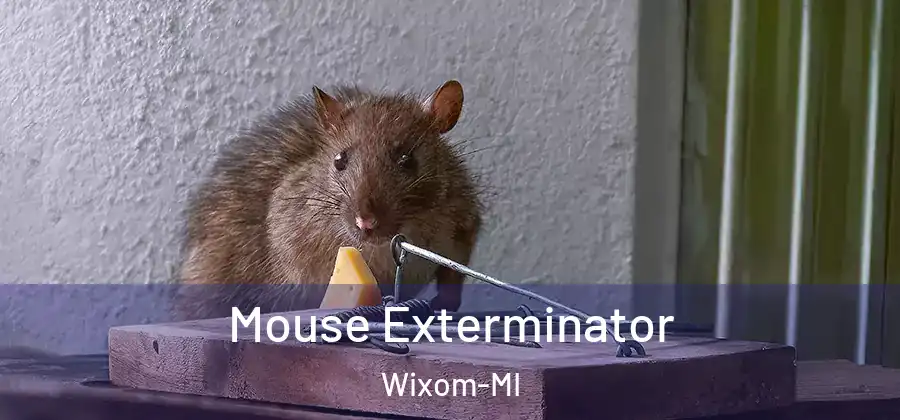 Mouse Exterminator Wixom-MI