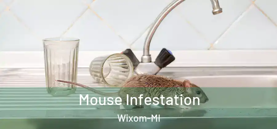 Mouse Infestation Wixom-MI