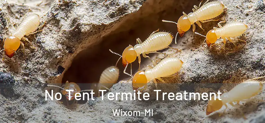No Tent Termite Treatment Wixom-MI