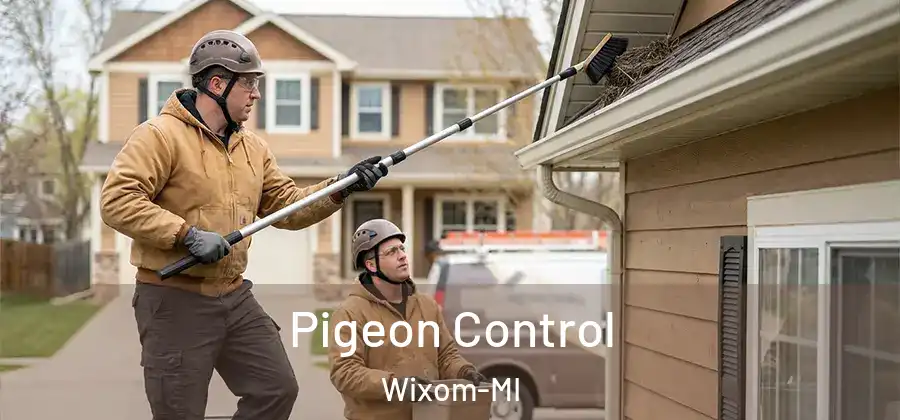 Pigeon Control Wixom-MI