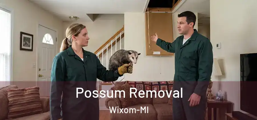  Possum Removal Wixom-MI