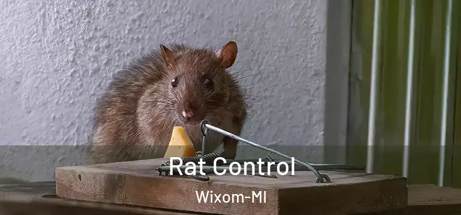  Rat Control Wixom-MI