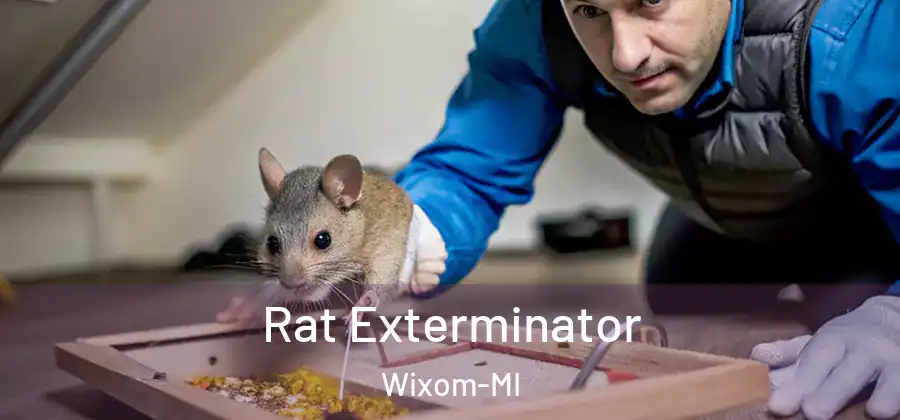Rat Exterminator Wixom-MI