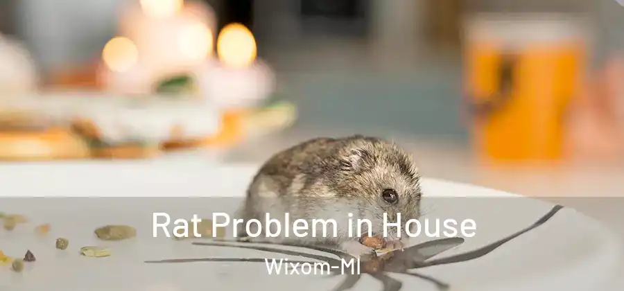  Rat Problem in House Wixom-MI