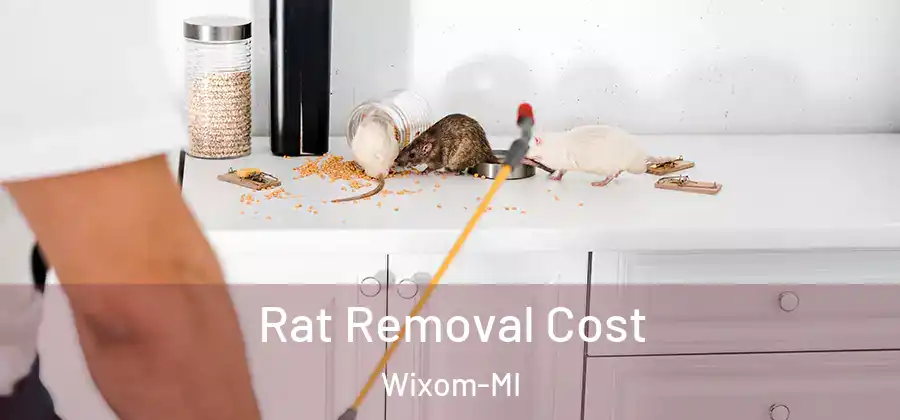 Rat Removal Cost Wixom-MI