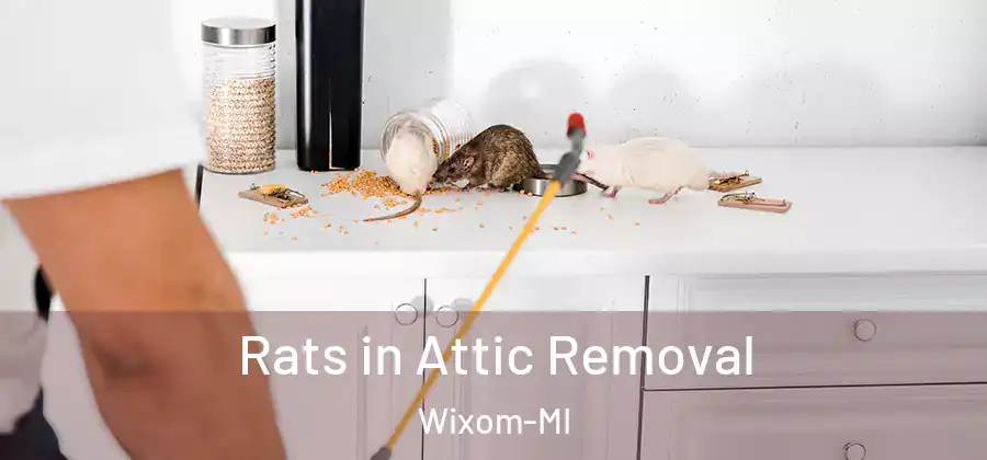 Rats in Attic Removal Wixom-MI