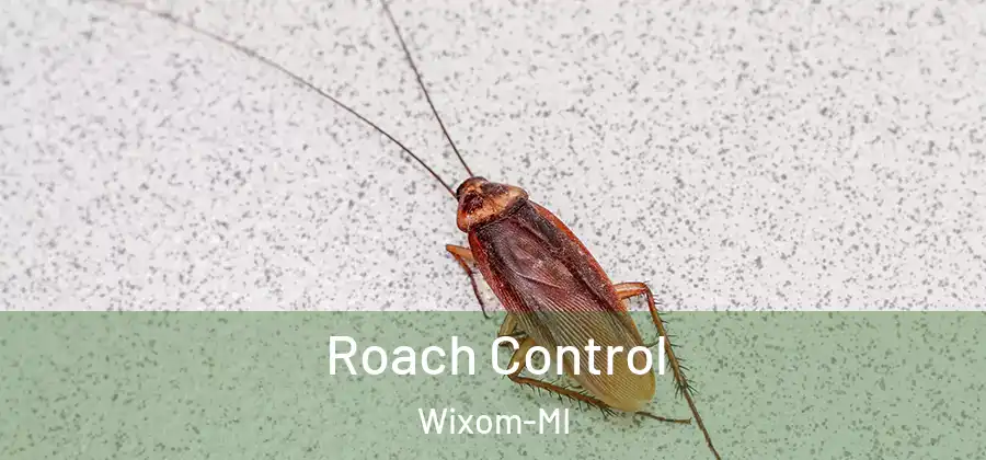 Roach Control Wixom-MI