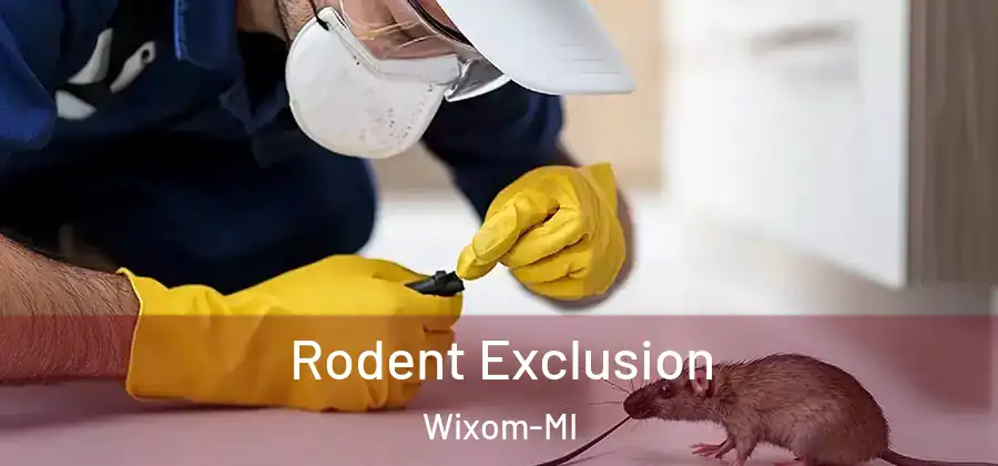  Rodent Exclusion Wixom-MI