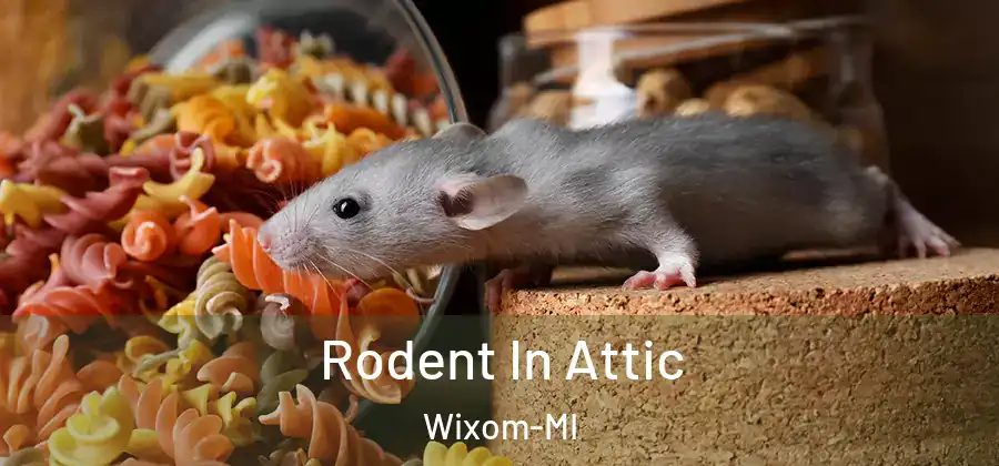  Rodent In Attic Wixom-MI