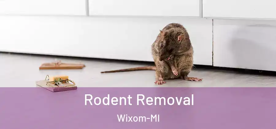  Rodent Removal Wixom-MI