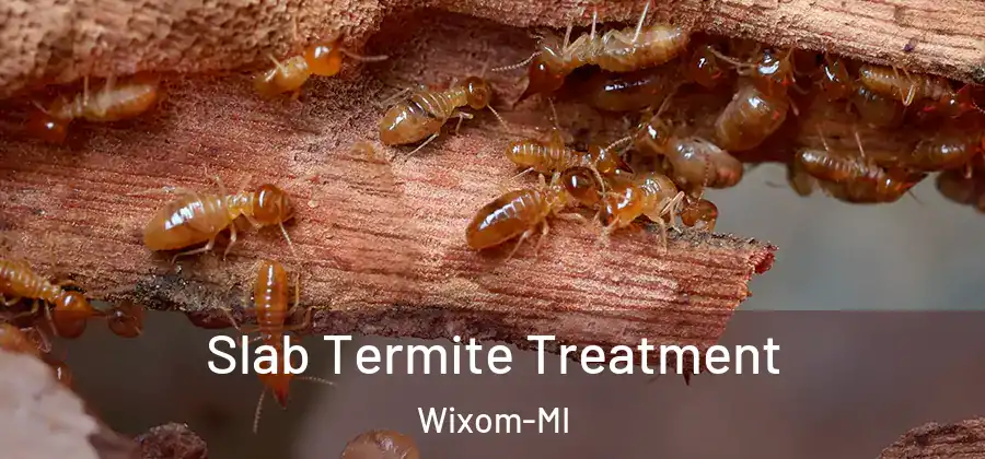 Slab Termite Treatment Wixom-MI
