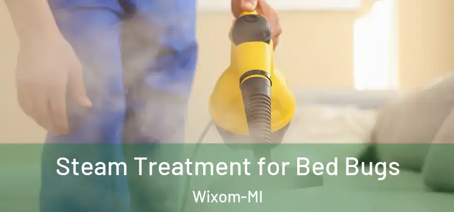 Steam Treatment for Bed Bugs Wixom-MI