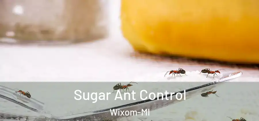 Sugar Ant Control Wixom-MI