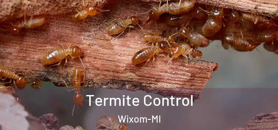  Termite Control Wixom-MI