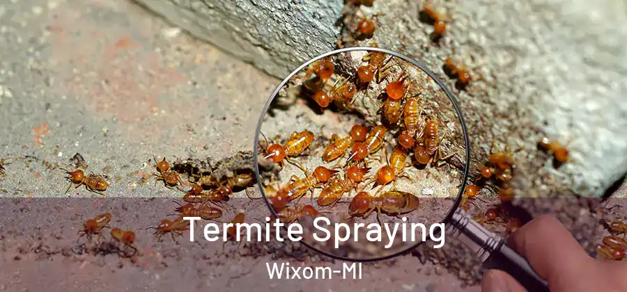 Termite Spraying Wixom-MI