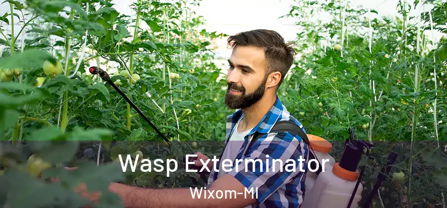 Wasp Exterminator Wixom-MI