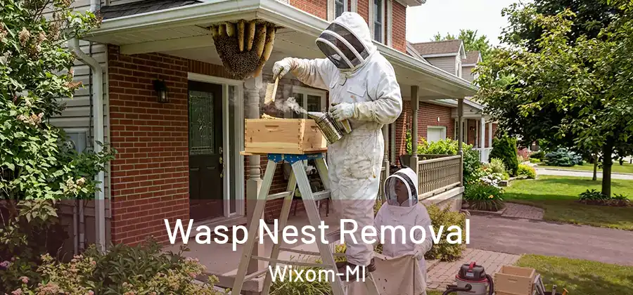 Wasp Nest Removal Wixom-MI