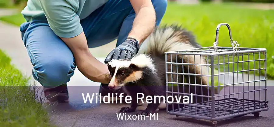  Wildlife Removal Wixom-MI