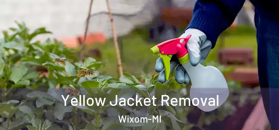 Yellow Jacket Removal Wixom-MI
